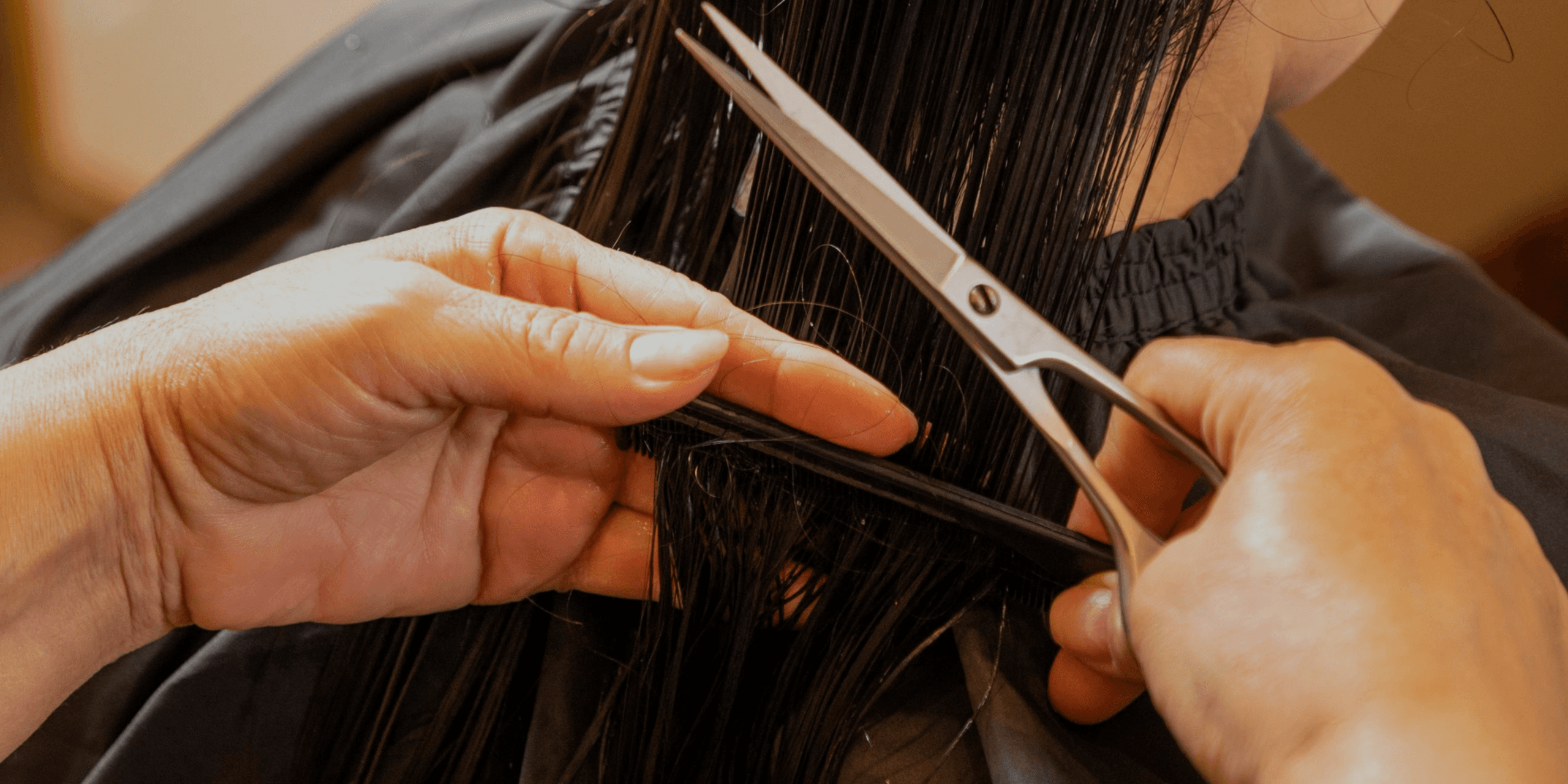Hair Cut & Style